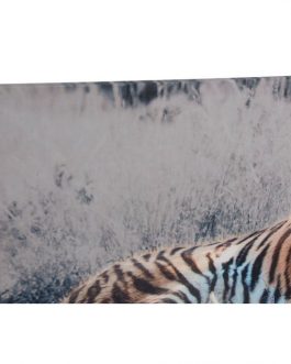 Cuadro lienzo tigre 135×45 cm.