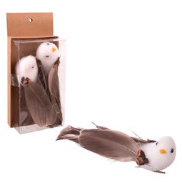Set 2 pájaro con plumas 15×5 cm