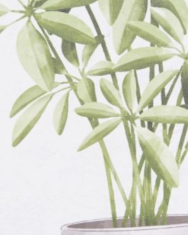 Cuadro lienzo pino 40×1,8x50cm  planta