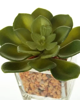 Cactus artificial 5,50×5,50×8 cm
