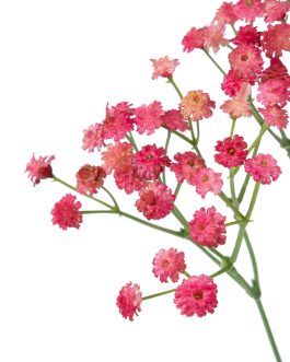 Rama paniculata poliester fucsia20x20x65 cm