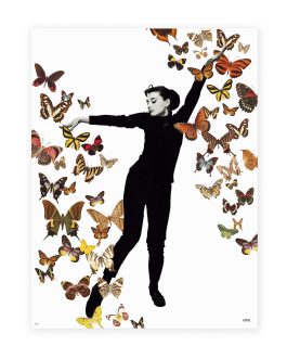 Lámina «Audrey»