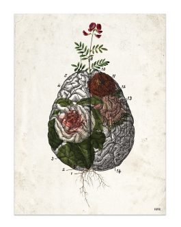 Lámina «Cerebro flores»