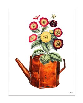 Lámina «Regadera flores»