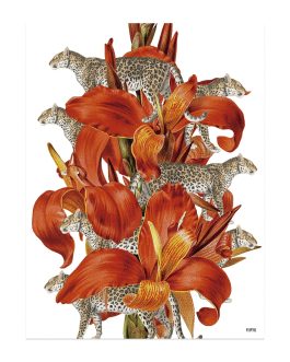 Lámina «Flor leopardos»