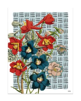 Lámina «Flores azul y naranja»