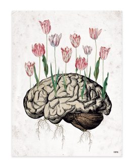 Lámina «Cerebro tulipanes»