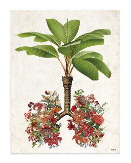 Lienzo «Pulmones flores»