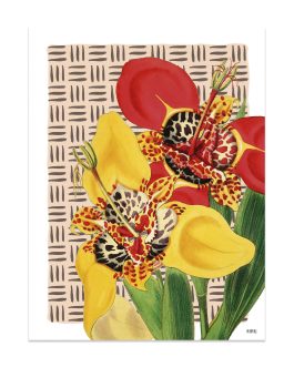 Lámina «Flores amarillo y naranja»