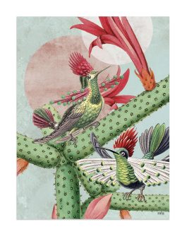 Lámina «Colibríes cactus» 30×40 cm
