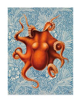 Lámina «Pulpo» 30×40 cm
