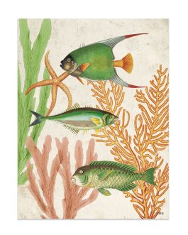 Lámina «Peces verdes» 30×40 cm