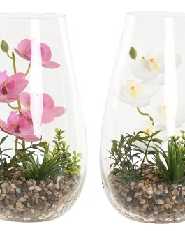 Planta orquídea artificial en cristal 15x15x25 cm