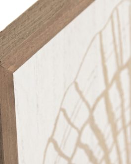 Cuadro MDF concha 40x2x40 cm