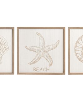 Cuadro MDF concha 40x2x40 cm