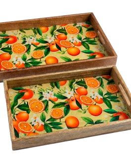 Bandeja madera/resina naranjas